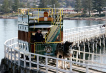 Tram authority receive ‘cash advance’