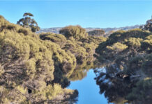 The value of new light