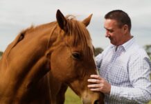 Drought relief for thoroughbreds