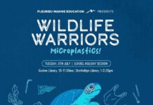 be a wildlife warrior this July