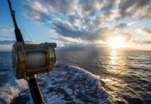 Scalefish changes based on sustainability