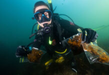 Footage exposes extent of algal bloom damage