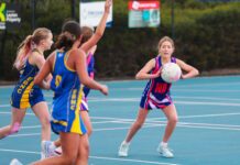 Drought-breaking Bays