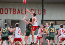 New concussion function for PlayHQ