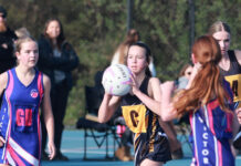 Victor league bounce back