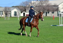 Mounted games demo at Yankalilla