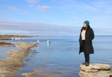 Inquiry into algal bloom established