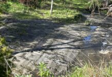 The weathering of the years