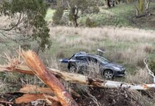 Tragic deaths on Fleurieu roads