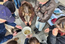 Giving our threatened fish a fighting chance