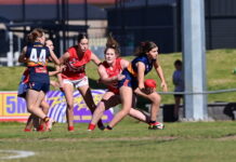 Sheagles juniors into big dance