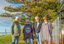 ‘Gut-wrenching’ – Locals left stumped after surprise tree removal