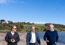 Prime Minister Anthony Albanese meets KI fisherman to discuss algal bloom