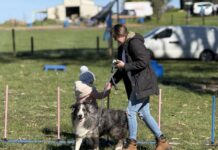 Party in the paddock