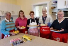 Importance of Red Cross