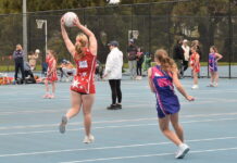 2025 Great Southern Netball