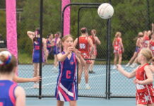 Netball in 2025