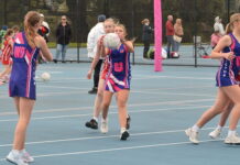 Great Southern Netball
