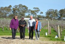 A discovery worth $7 million