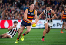 AFL: Adelaide v Collingwood
