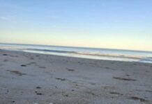 Role of phosphorous in algal bloom