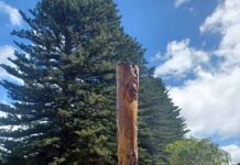 Funds raised at Rally