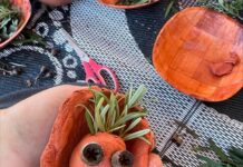 At the Library in October