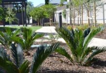 A Legacy that keeps giving