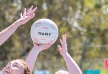 Netball 2025 Grand Final Action