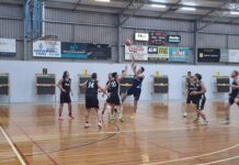 Senior basketball action