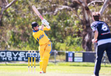 Strong day for the Bay