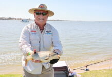 Carp catching reels in the fishers