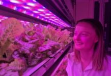 Indoor agriculture out of this world