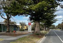 Record students in VET