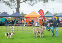 Strathalbyn Show 2025