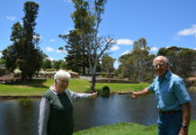 Festivity is flowing in Strath