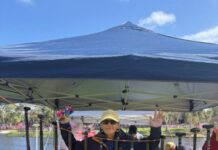 Dragons in the River Torrens