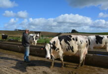 Record-breaking beef exports
