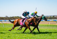 Strath’s Melbourne Cup fun