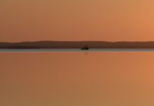 National Print Salon 2026