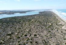 Share regional issues