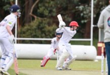 Junior Cricket Action