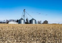 Go against the grain of bushfire season