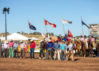 What in the flying buck
