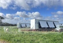 Egg-cellent accolade for feather&PECK