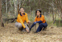 Environment plan adopted