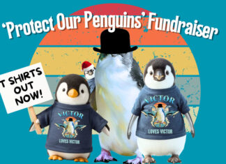 Help protect GI Penguins
