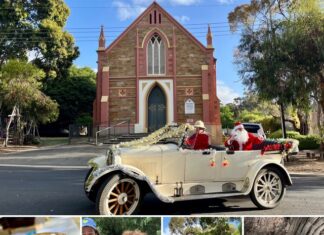 Carols in Bells Paddock