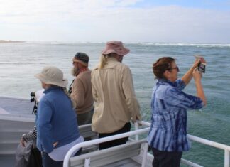 Summer Science on the Coorong