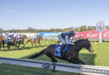Strath trainer wins in Gawler